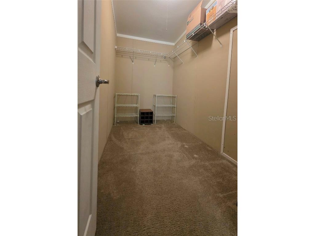 36740 Strand Drive Zephyrhills FL 33542 TB8402373 image40