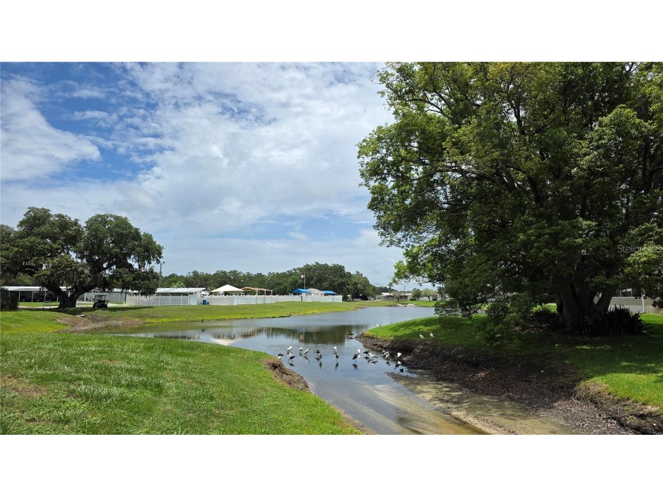 36740 Strand Drive Zephyrhills FL 33542 TB8402373 image6