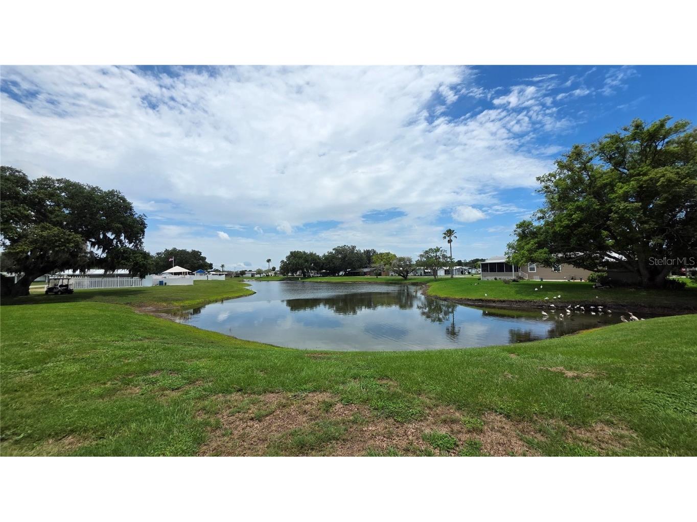 36740 Strand Drive Zephyrhills FL 33542 TB8402373 image7