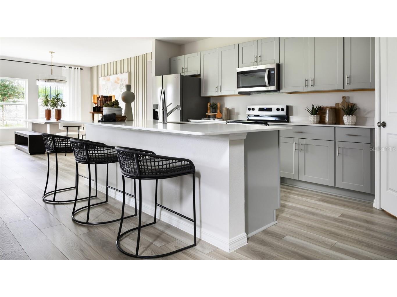 36743 Sagemoor Drive Zephyrhills FL 33541 TB8455442 image2