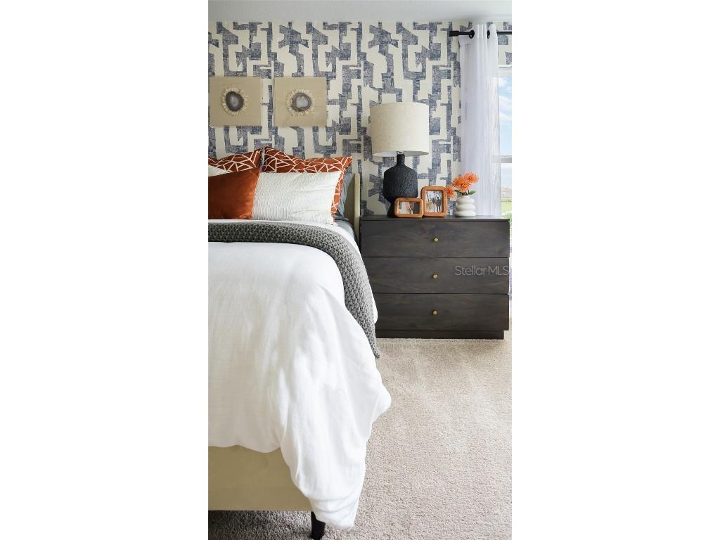 36743 Sagemoor Drive Zephyrhills FL 33541 TB8455442 image21