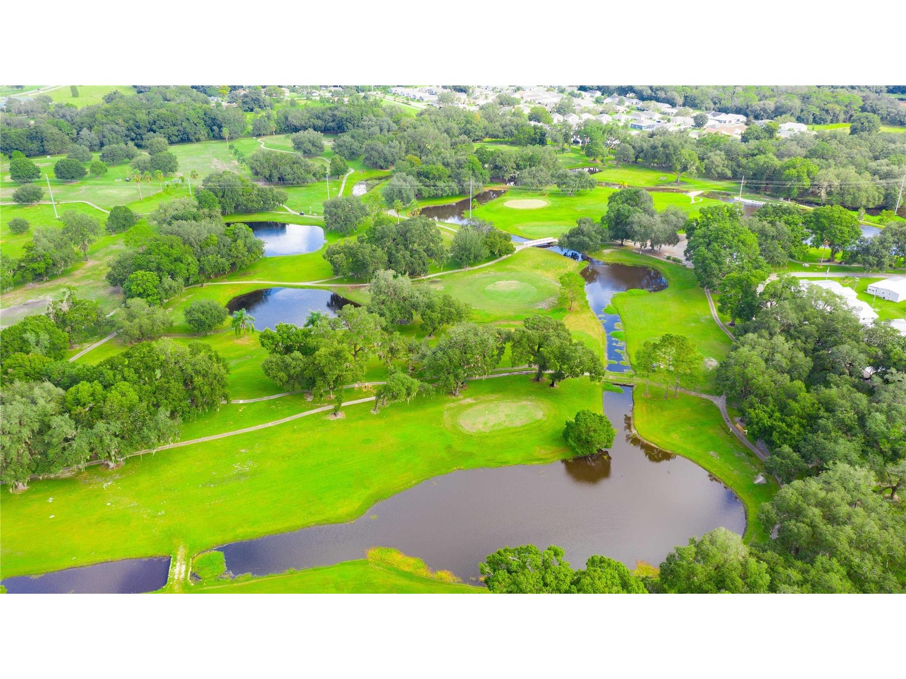 36747 Lakewood Drive Zephyrhills FL 33542 TB8506333 image40