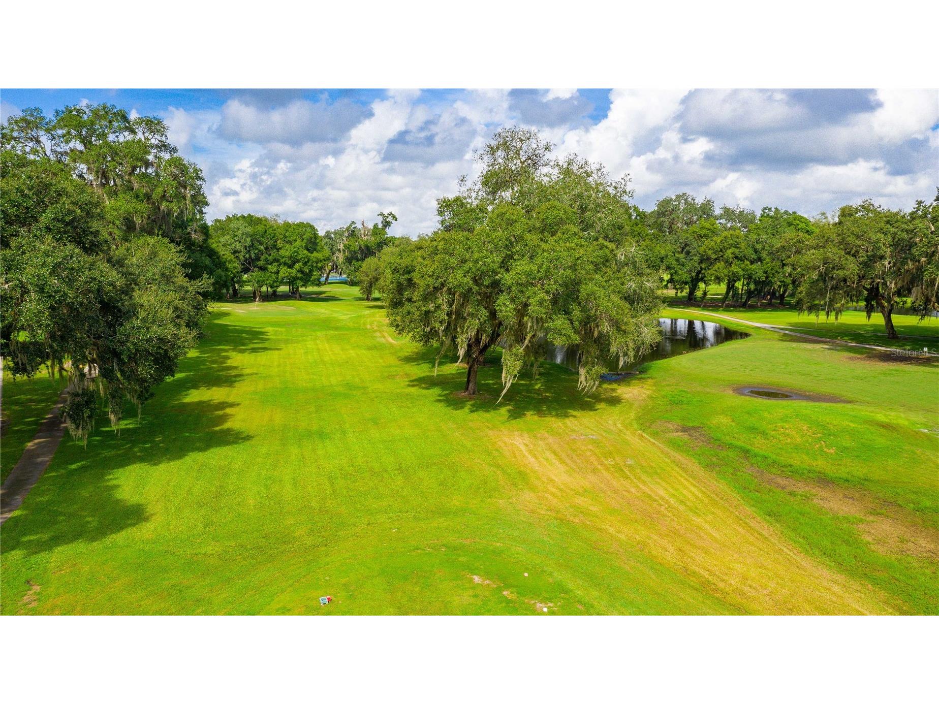 36747 Lakewood Drive Zephyrhills FL 33542 TB8506333 image41