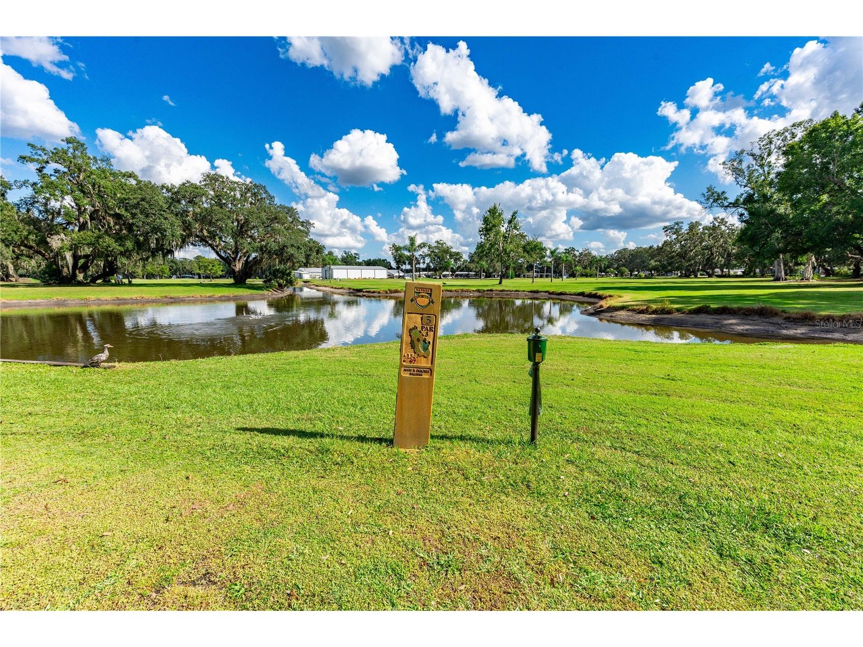 36747 Lakewood Drive Zephyrhills FL 33542 TB8506333 image42