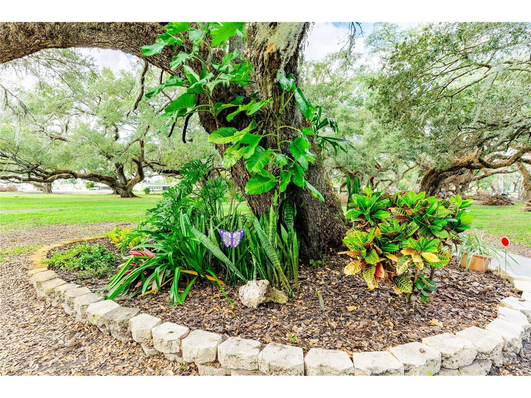 36747 Lakewood Drive Zephyrhills FL 33542 TB8506333 image60