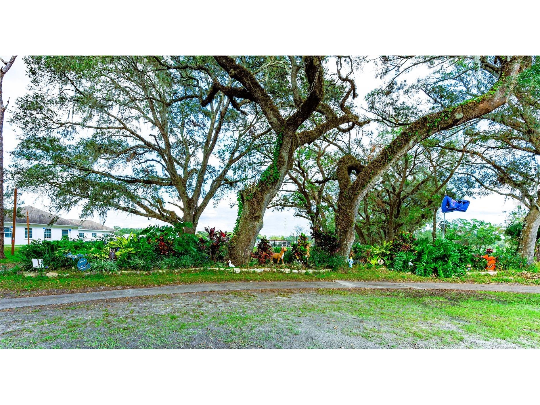 36747 Lakewood Drive Zephyrhills FL 33542 TB8506333 image62