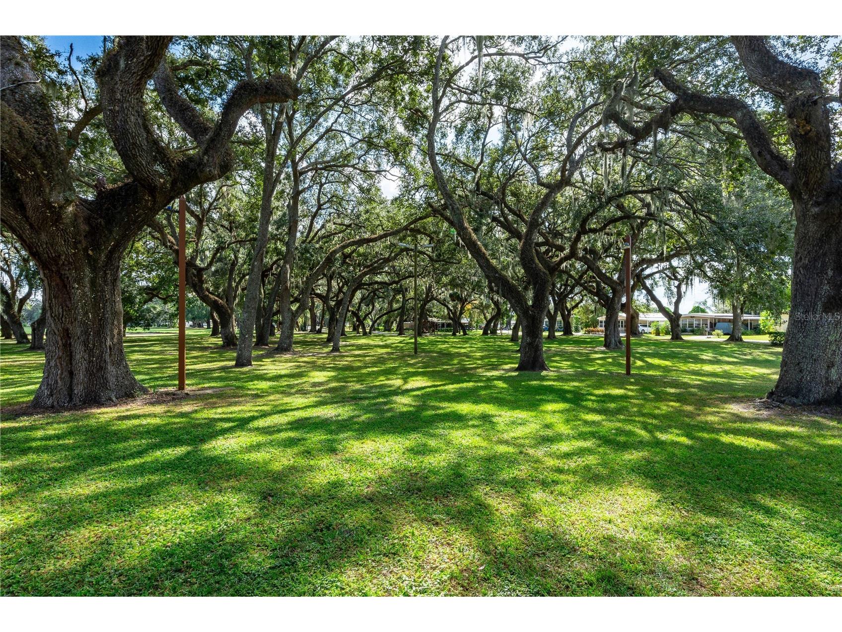 36747 Lakewood Drive Zephyrhills FL 33542 TB8506333 image63