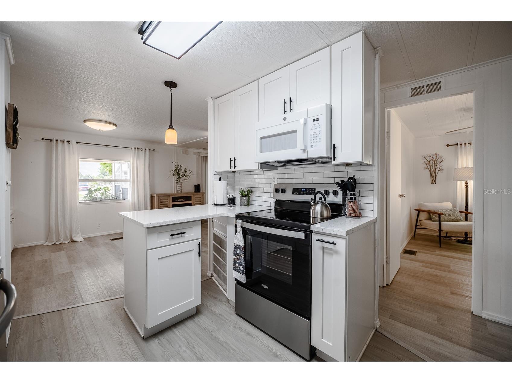 36749 Jodi Avenue Zephyrhills FL 33542 TB8520431 image13