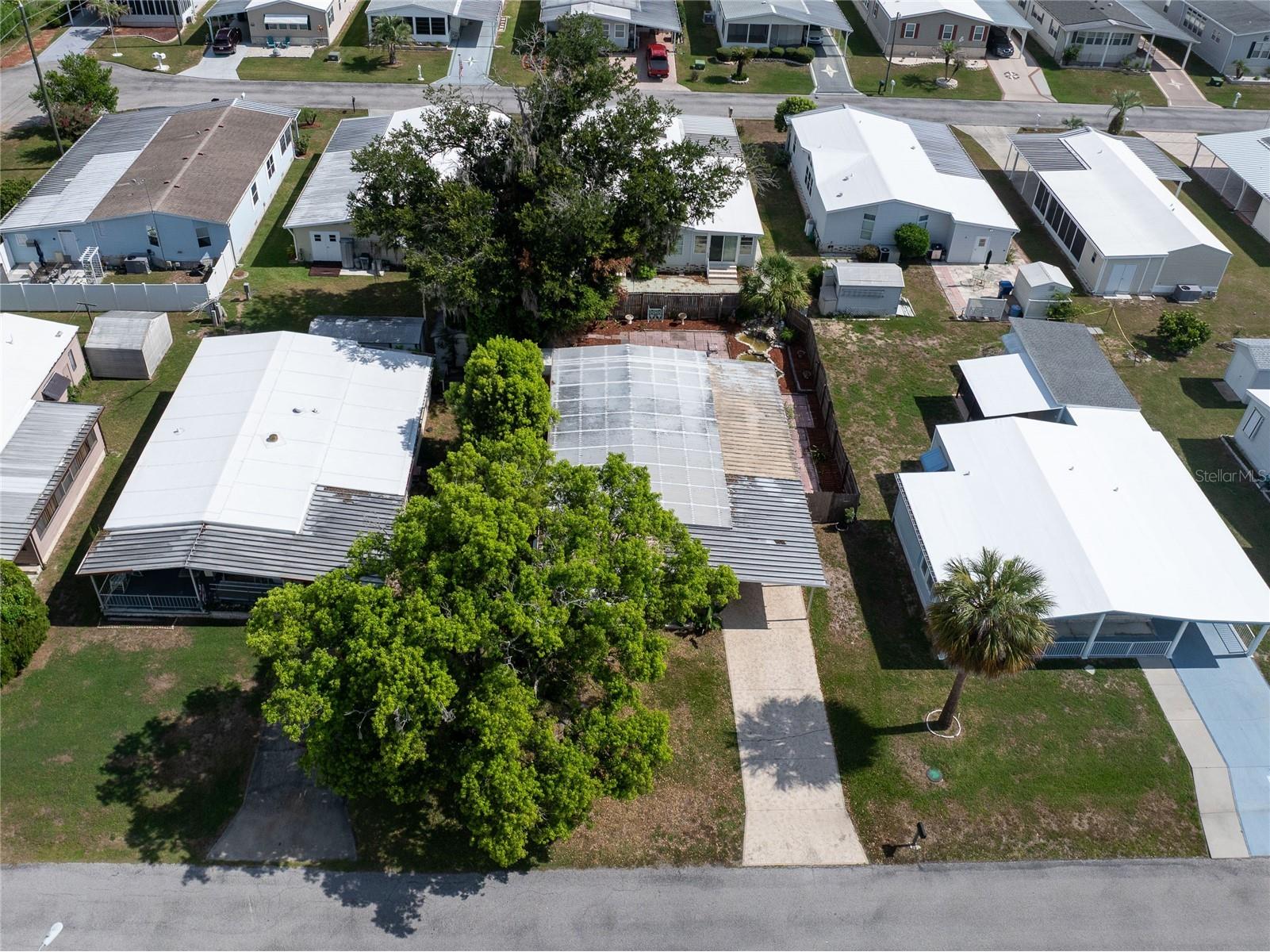 36749 Jodi Avenue Zephyrhills FL 33542 TB8520431 image33