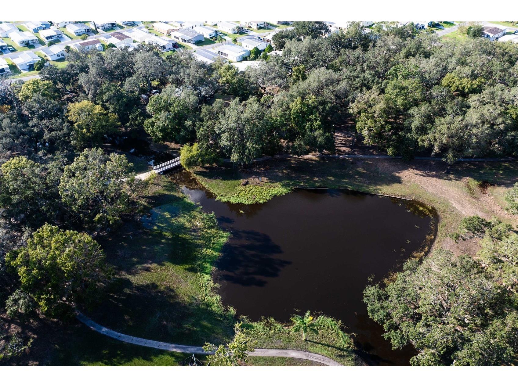 36749 Jodi Avenue Zephyrhills FL 33542 TB8520431 image40