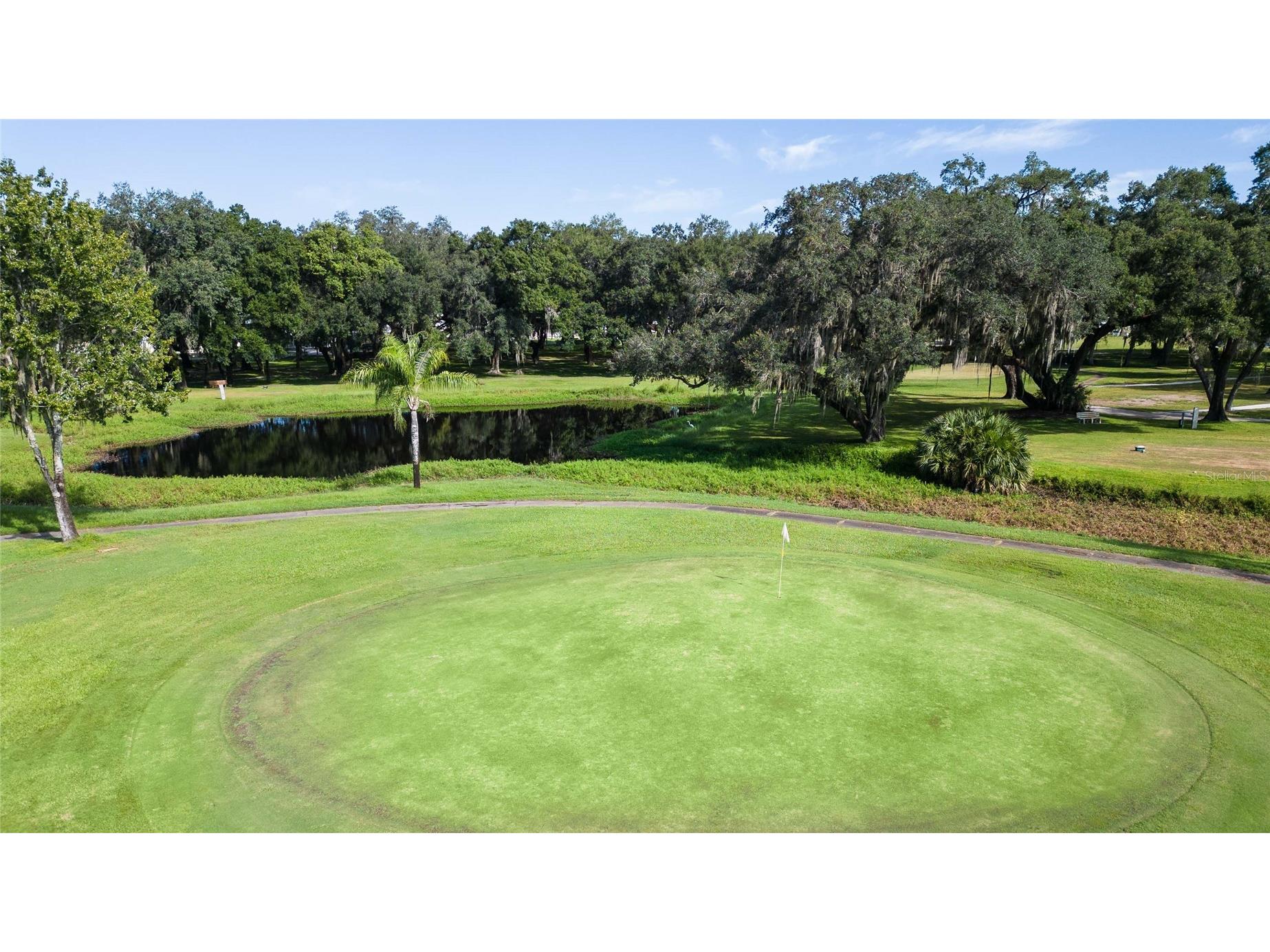 36749 Jodi Avenue Zephyrhills FL 33542 TB8520431 image42