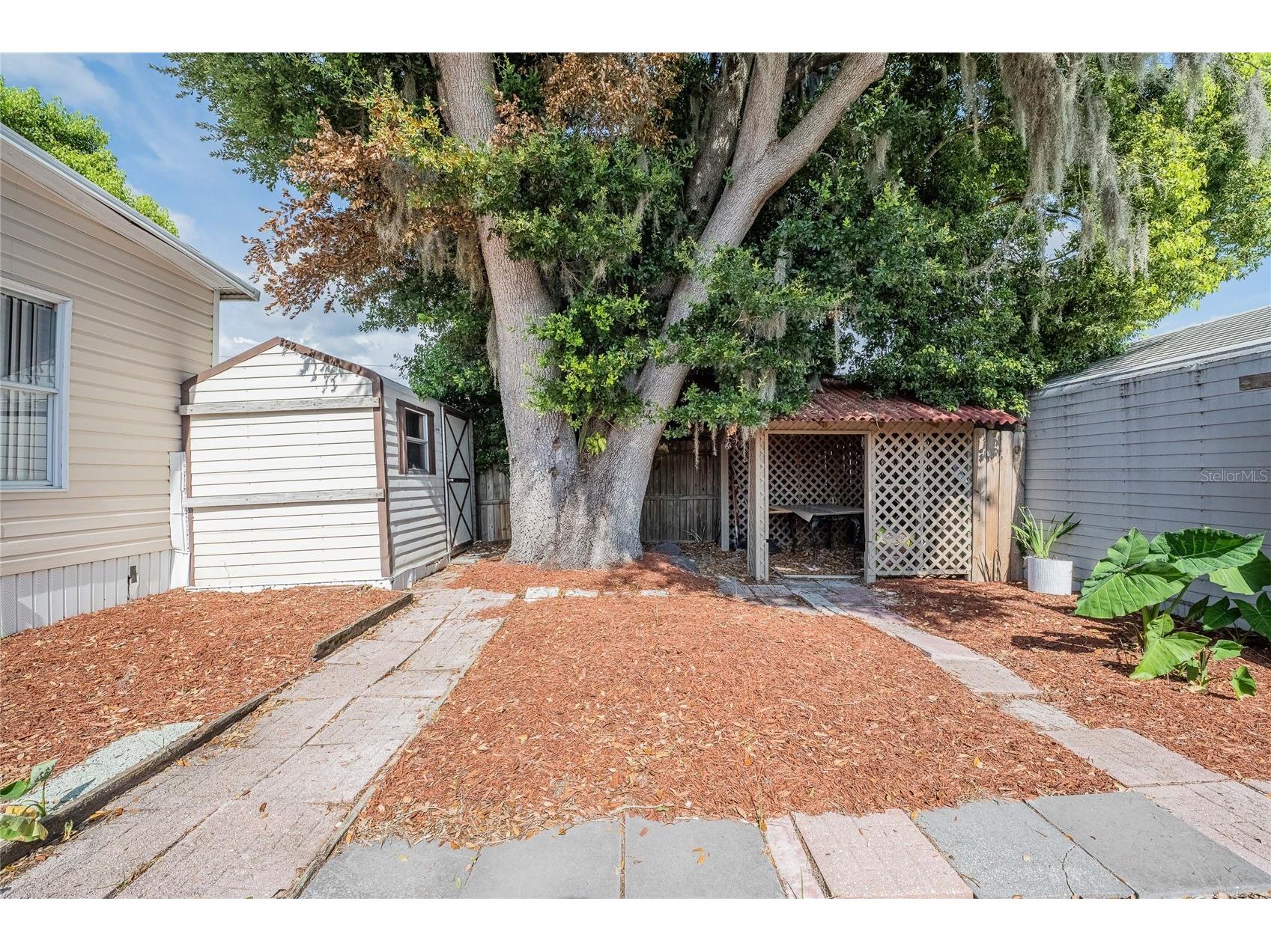 36749 Jodi Avenue Zephyrhills FL 33542 TB8520431 image5