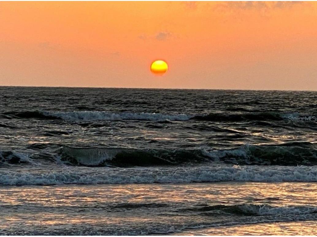 3675 Gulf Boulevard #4 Saint Pete Beach FL 33706 TB8399585 image34