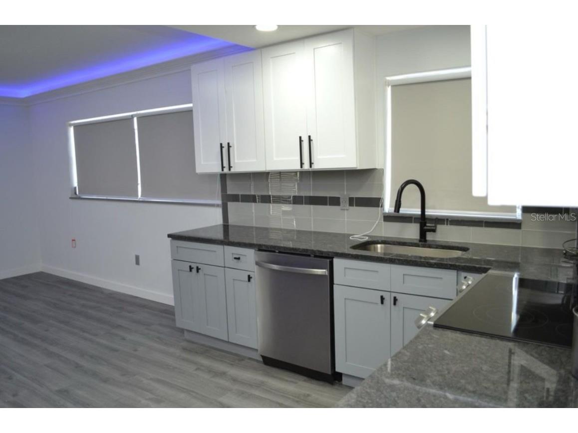 3675 Gulf Boulevard #4 Saint Pete Beach FL 33706 TB8399585 image6