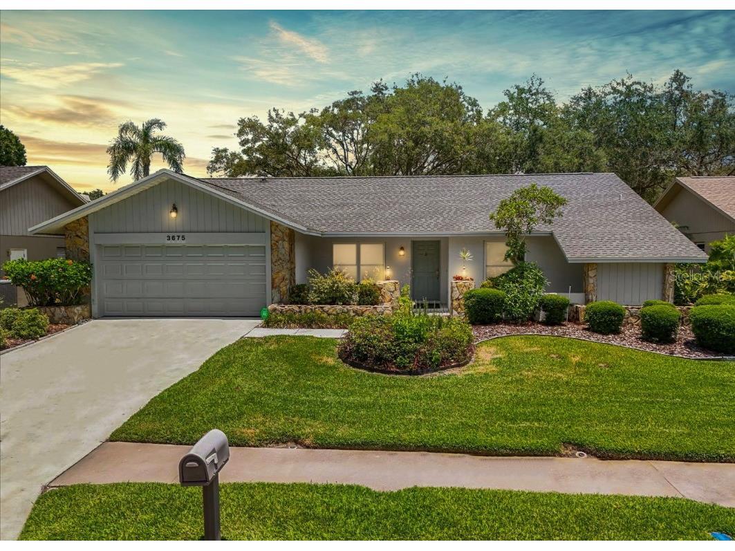 3675 Hollow Trail Court Palm Harbor FL 34684 T3552093 image1
