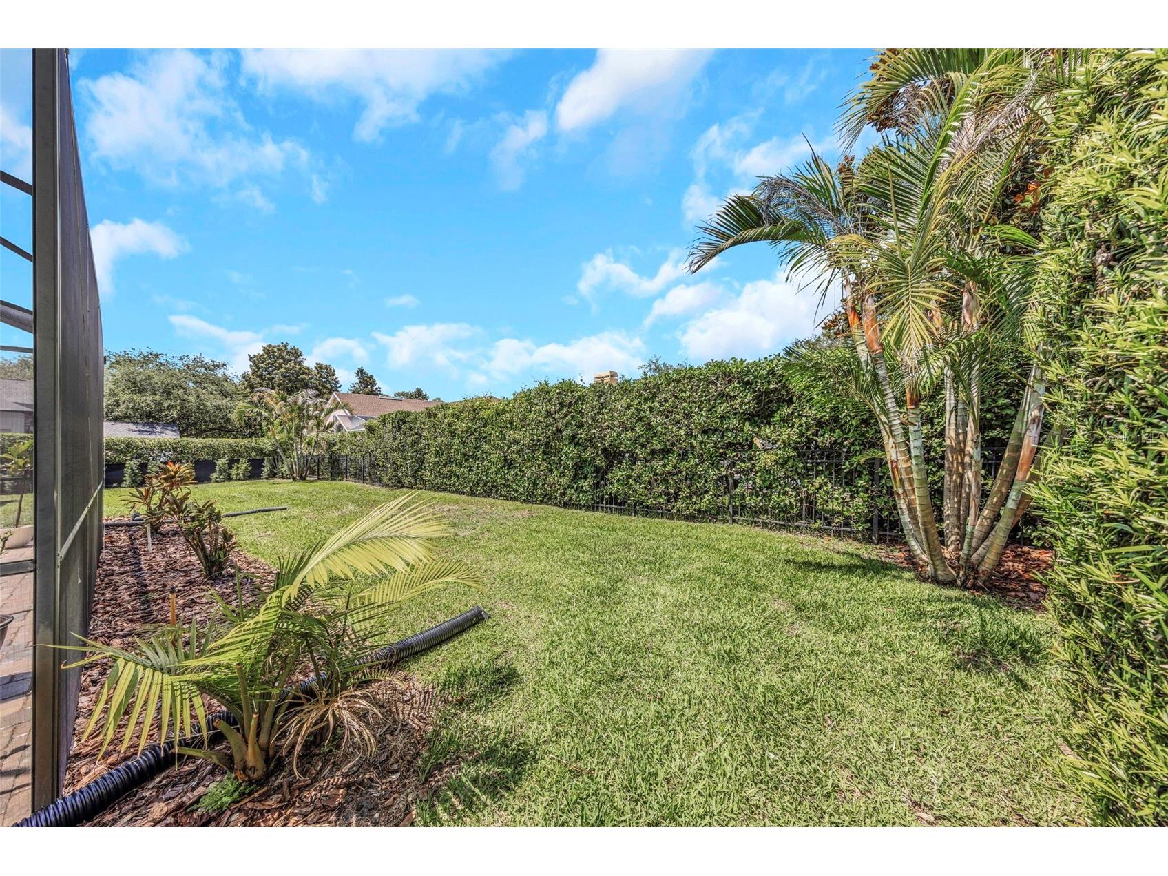3675 Janus Way Palm Harbor FL 34685 - LAKE TARPON TB8512885 image46