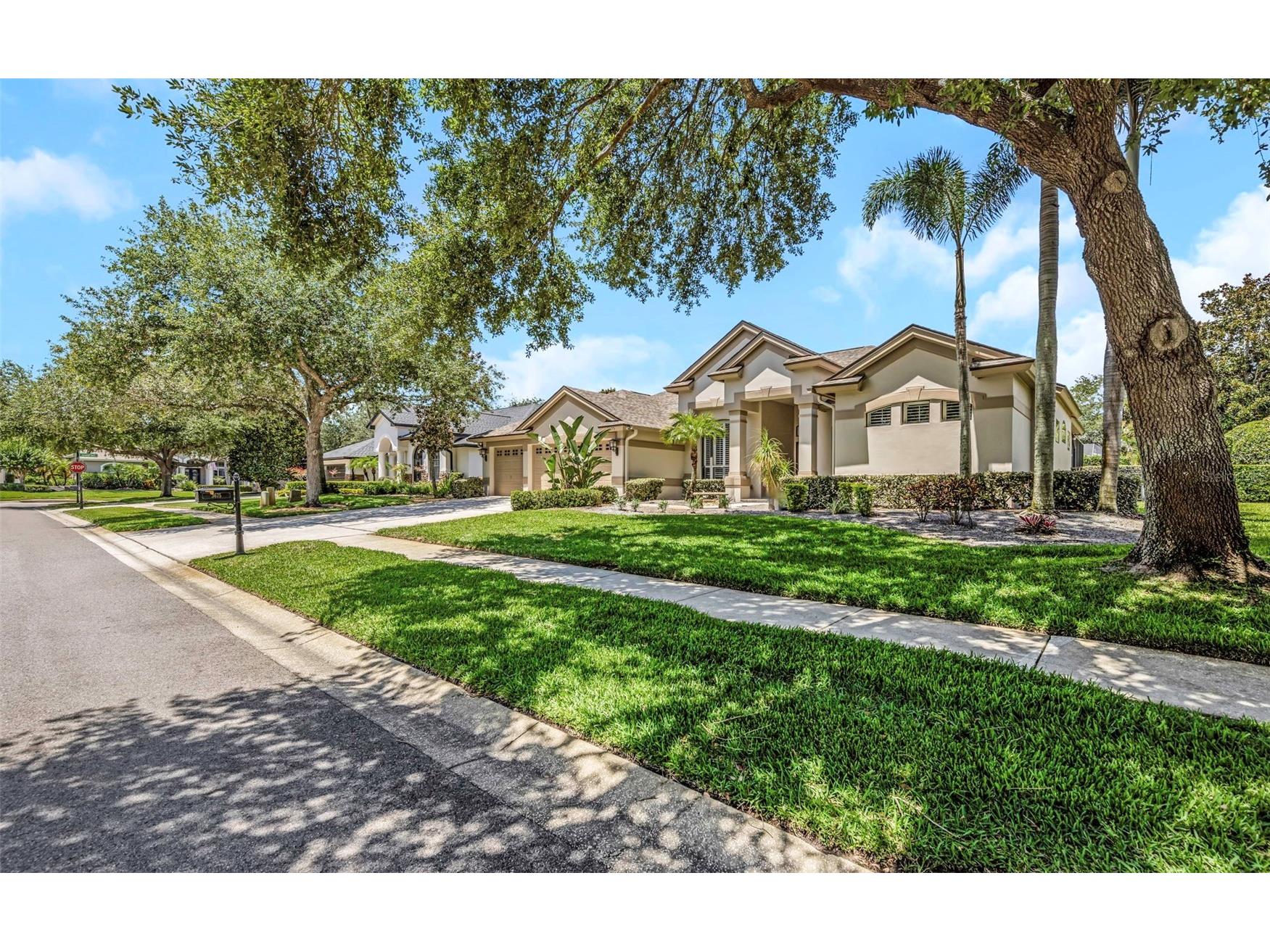 3675 Janus Way Palm Harbor FL 34685 - LAKE TARPON TB8512885 image48