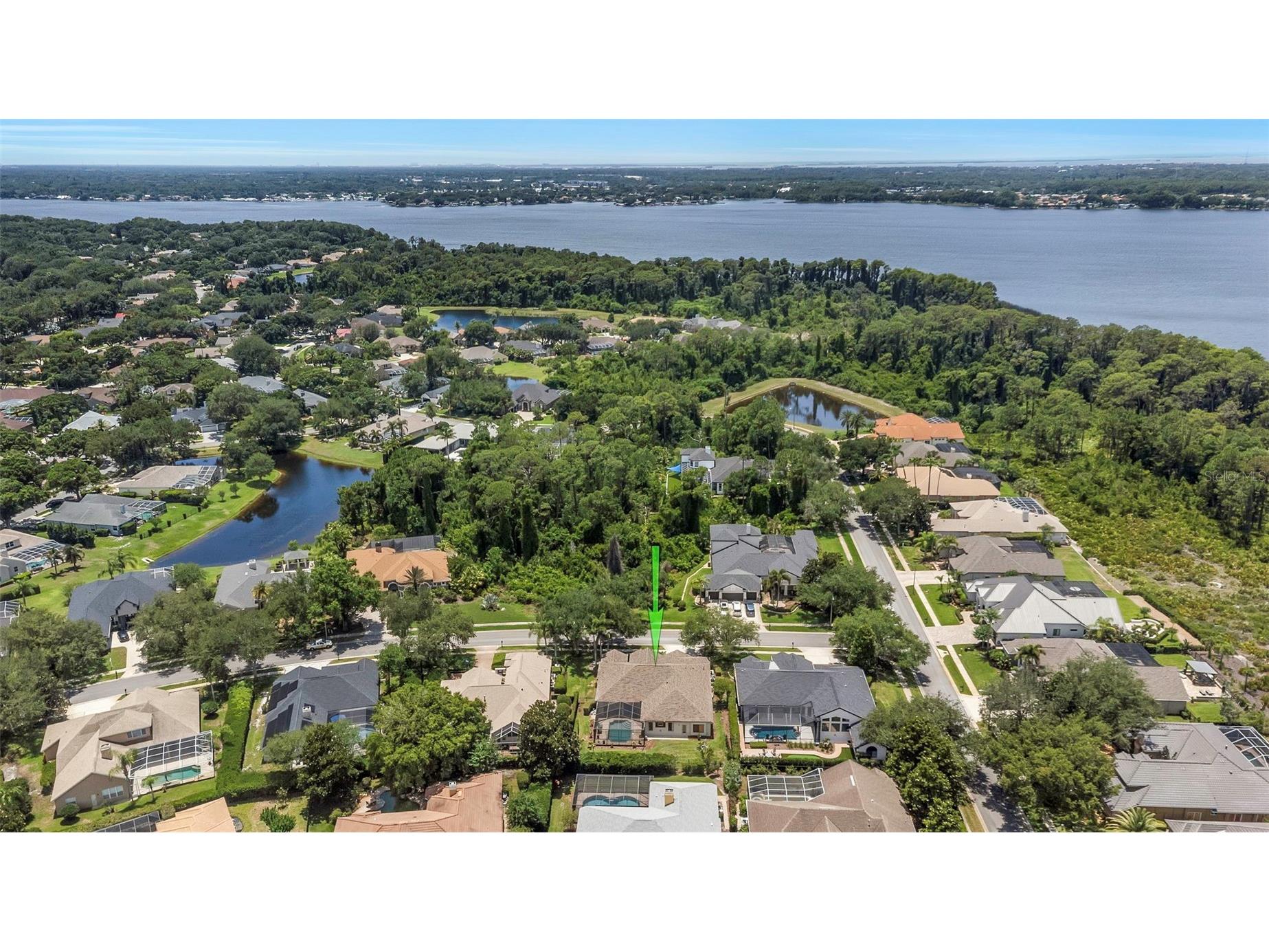3675 Janus Way Palm Harbor FL 34685 - LAKE TARPON TB8512885 image55
