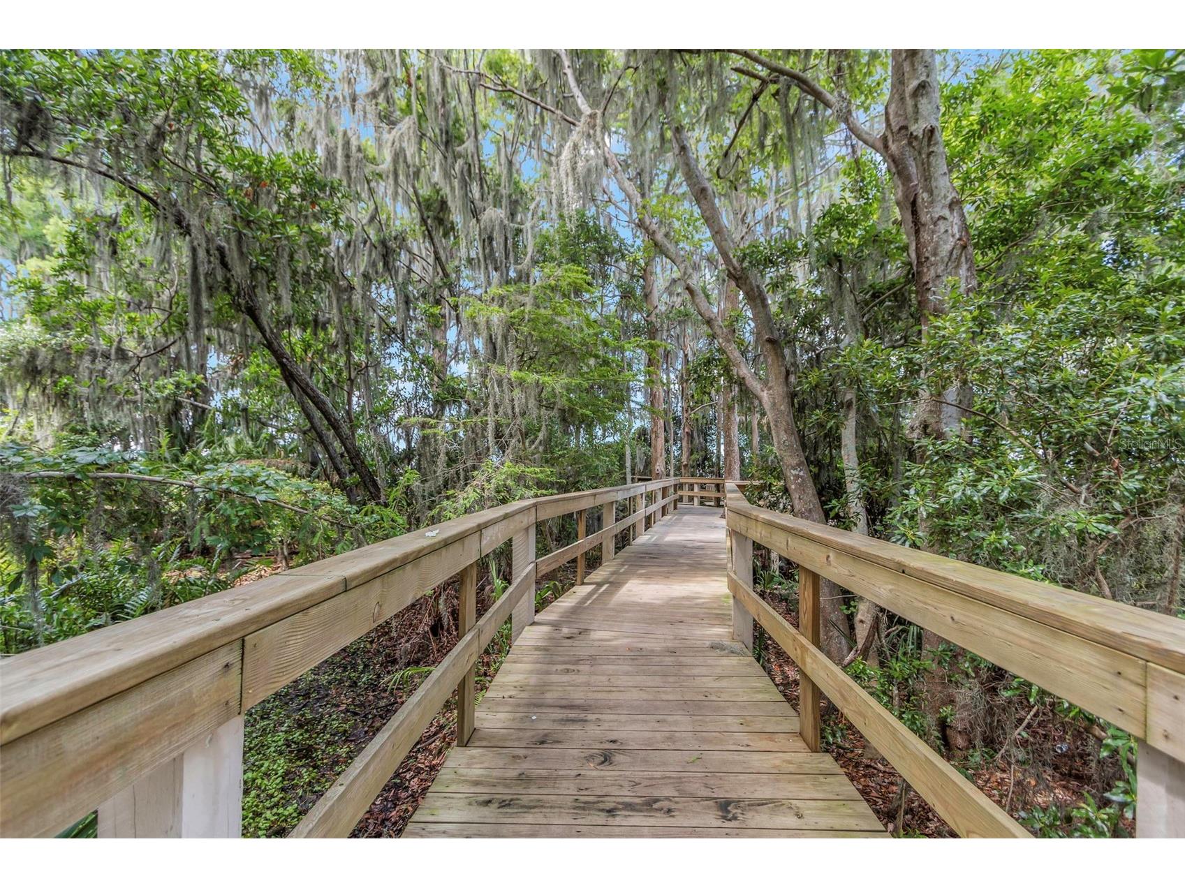 3675 Janus Way Palm Harbor FL 34685 - LAKE TARPON TB8512885 image56