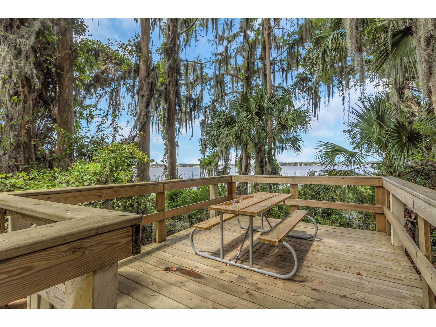 3675 Janus Way Palm Harbor FL 34685 - LAKE TARPON TB8512885 image57