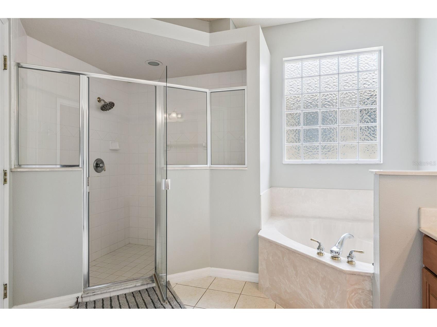 3675 Liberty Hill Drive Clermont FL 34711 O6413690 image16