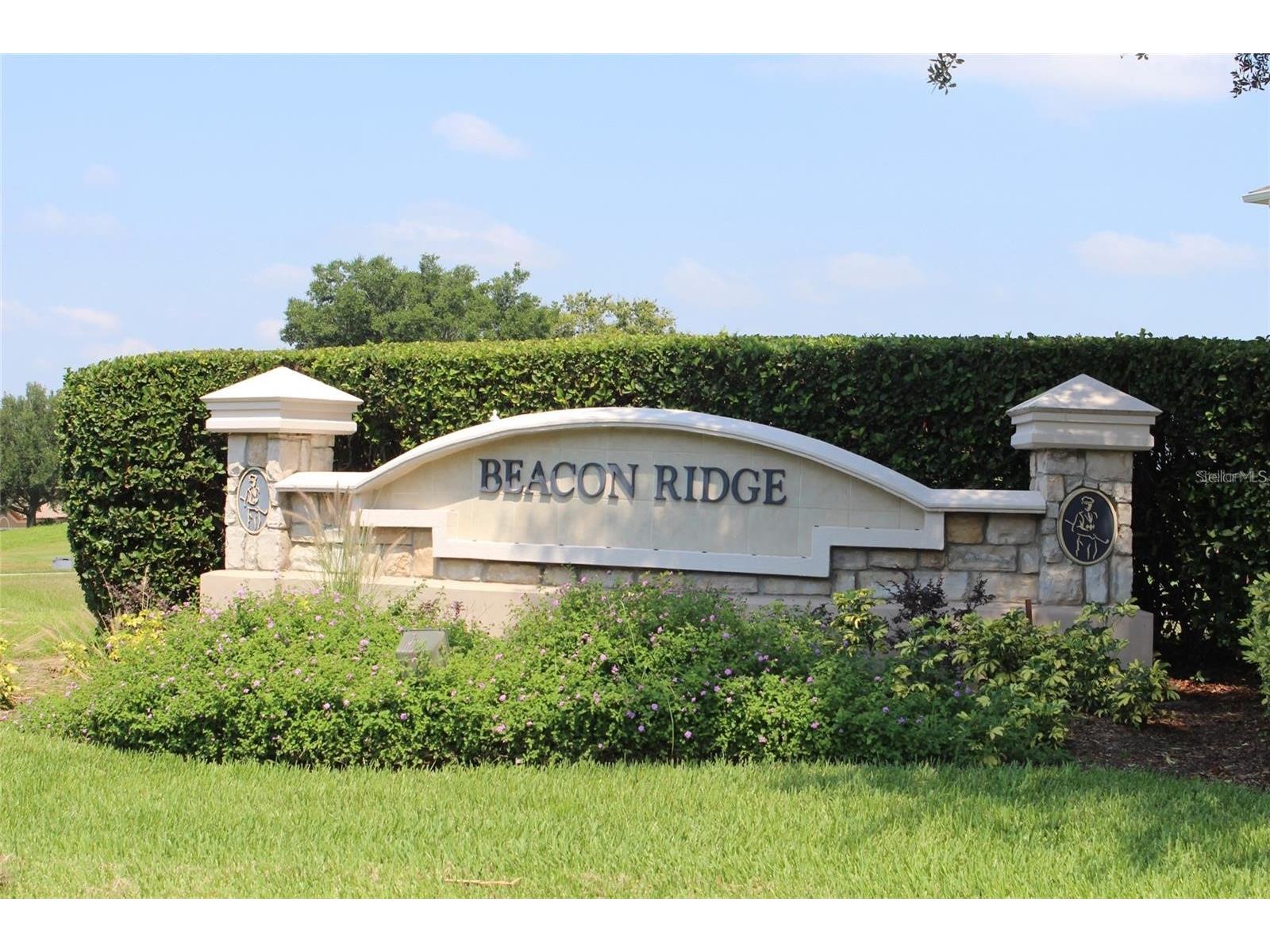3675 Liberty Hill Drive Clermont FL 34711 O6413690 image55