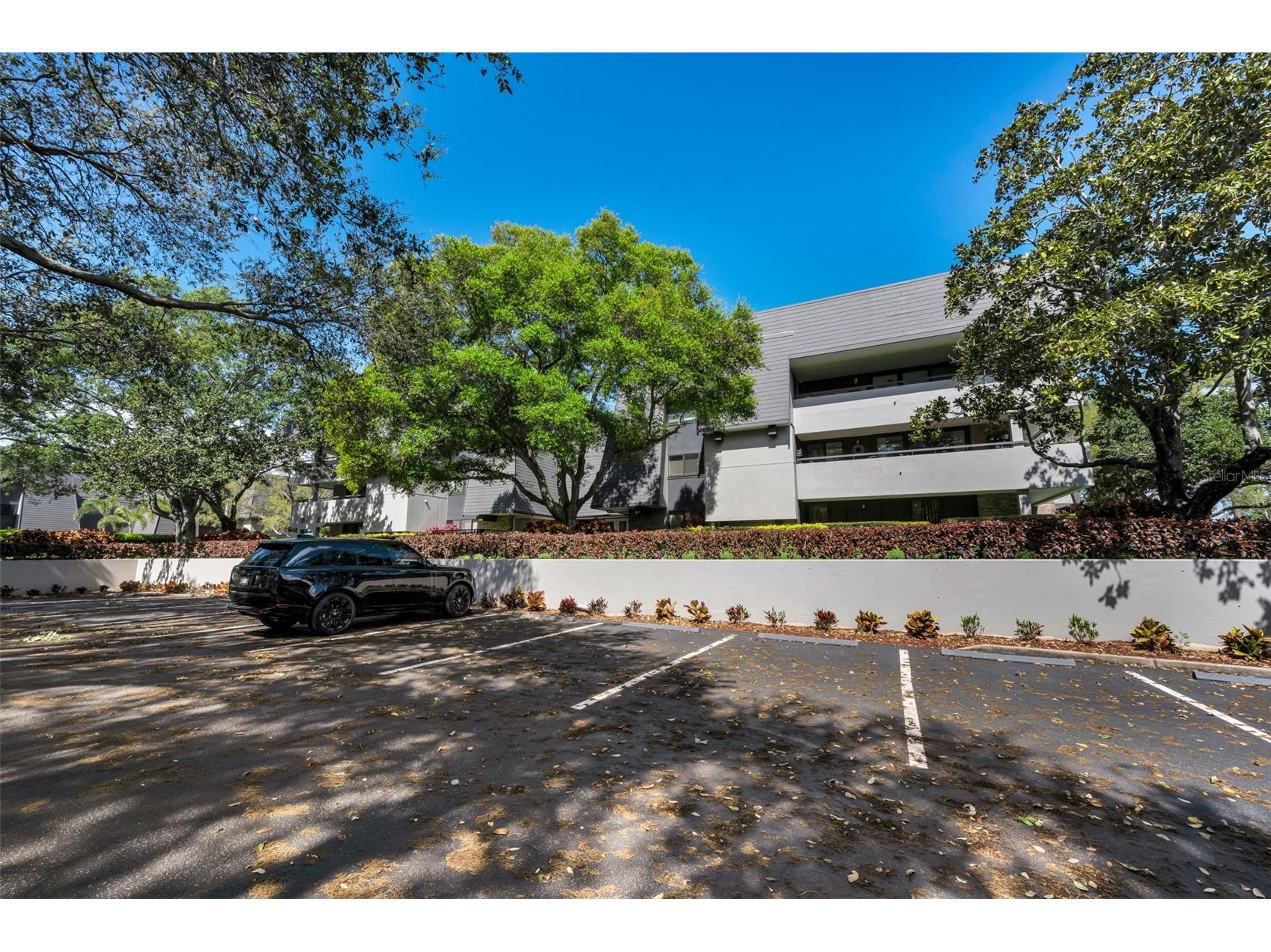 36750 N Us Highway 19 #26-204 Palm Harbor FL 34684 TB8487450 image26