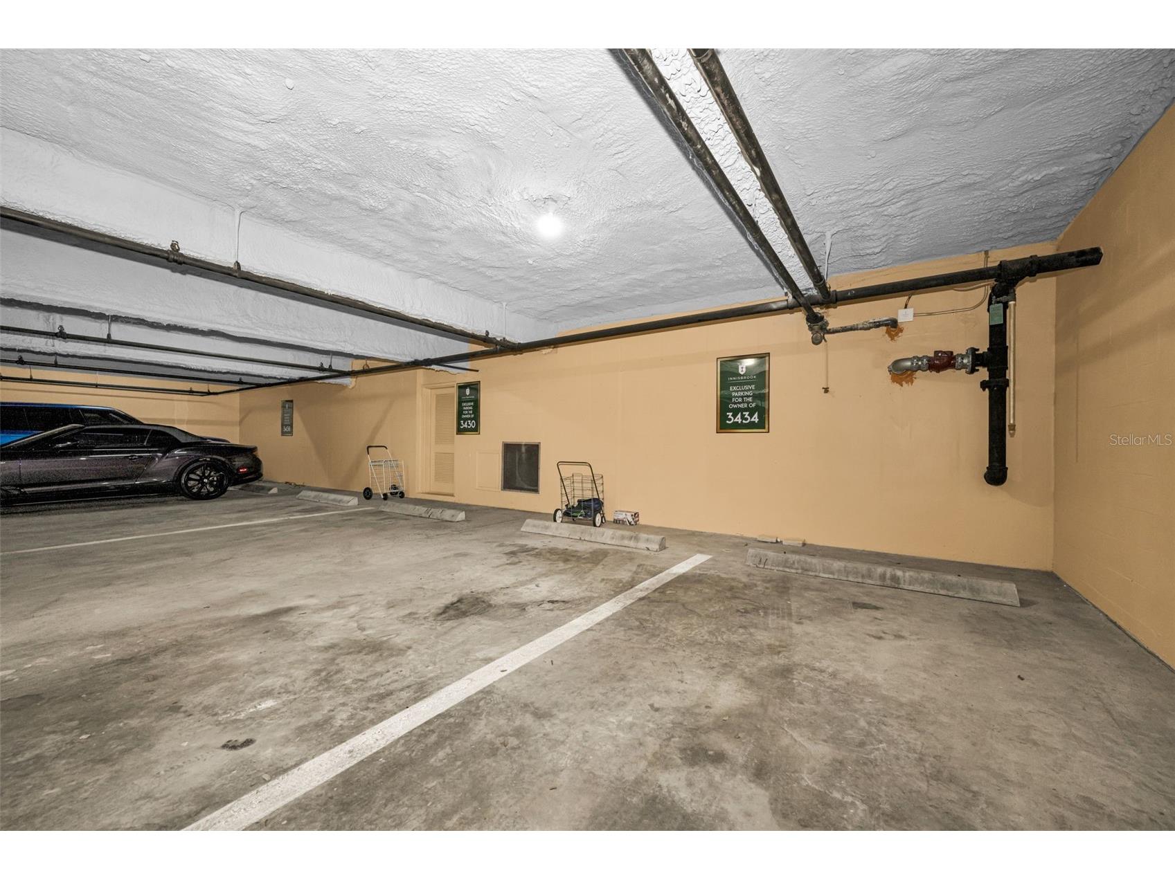 36750 N Us Highway 19 #26-204 Palm Harbor FL 34684 TB8487450 image40