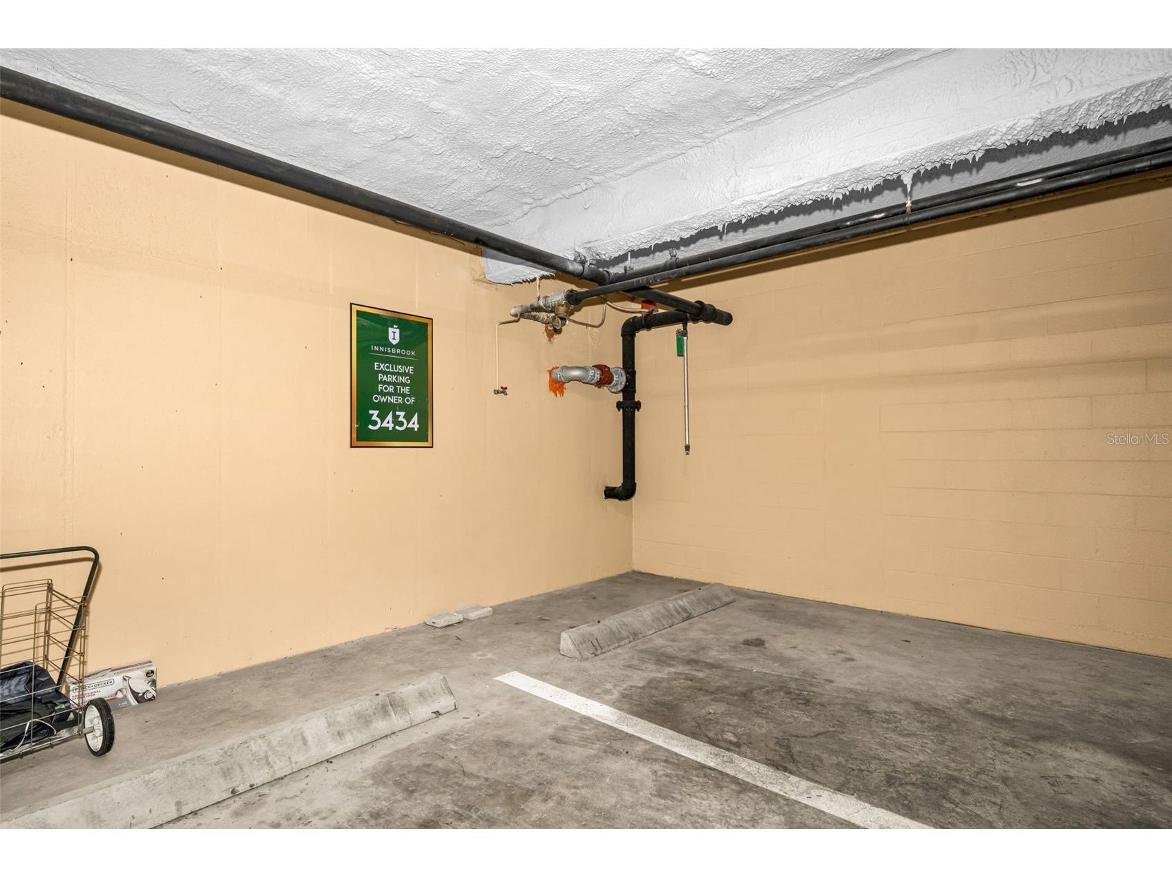 36750 N Us Highway 19 #26-204 Palm Harbor FL 34684 TB8487450 image41