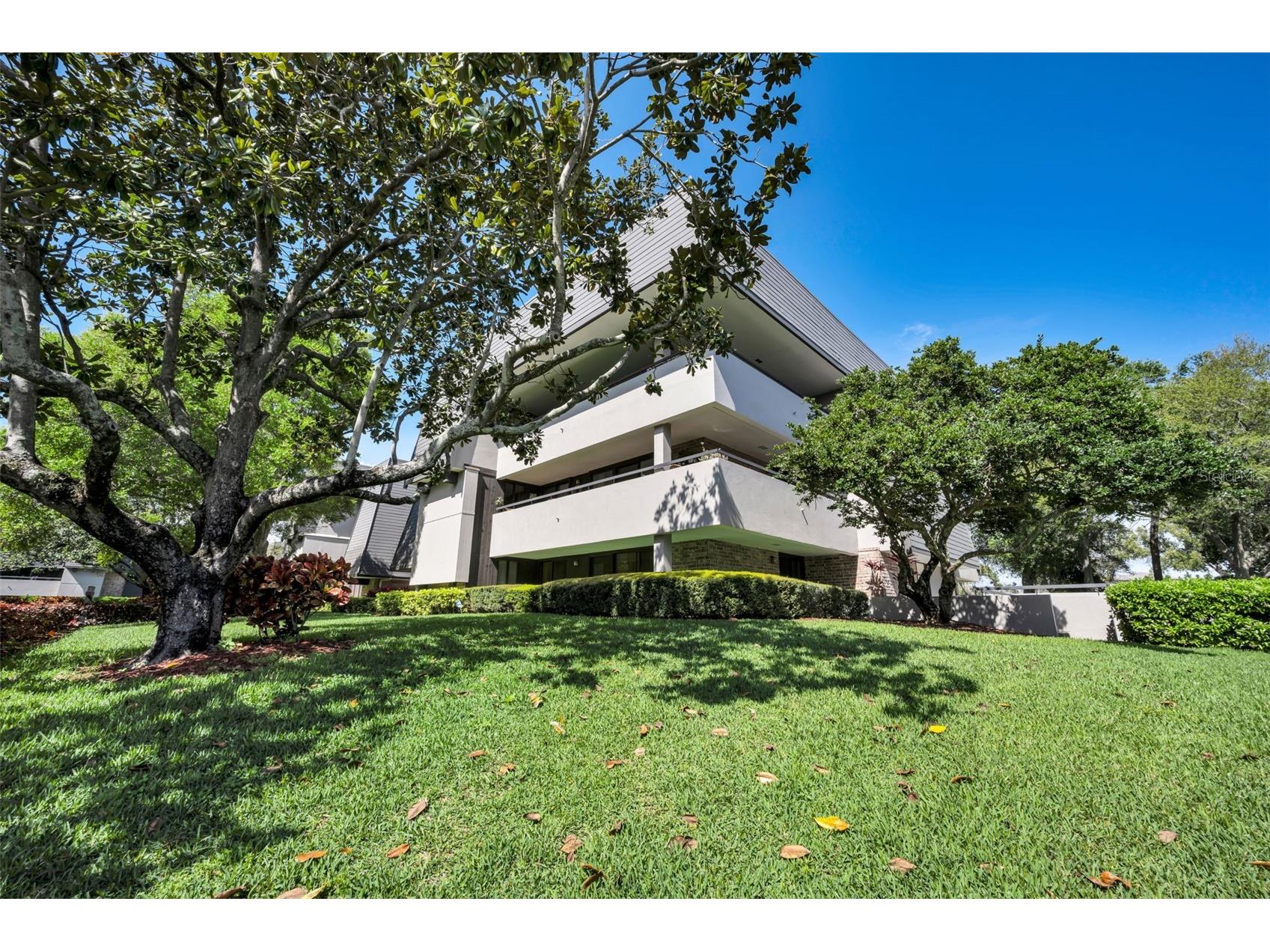 36750 N Us Highway 19 #26-204 Palm Harbor FL 34684 TB8487450 image43