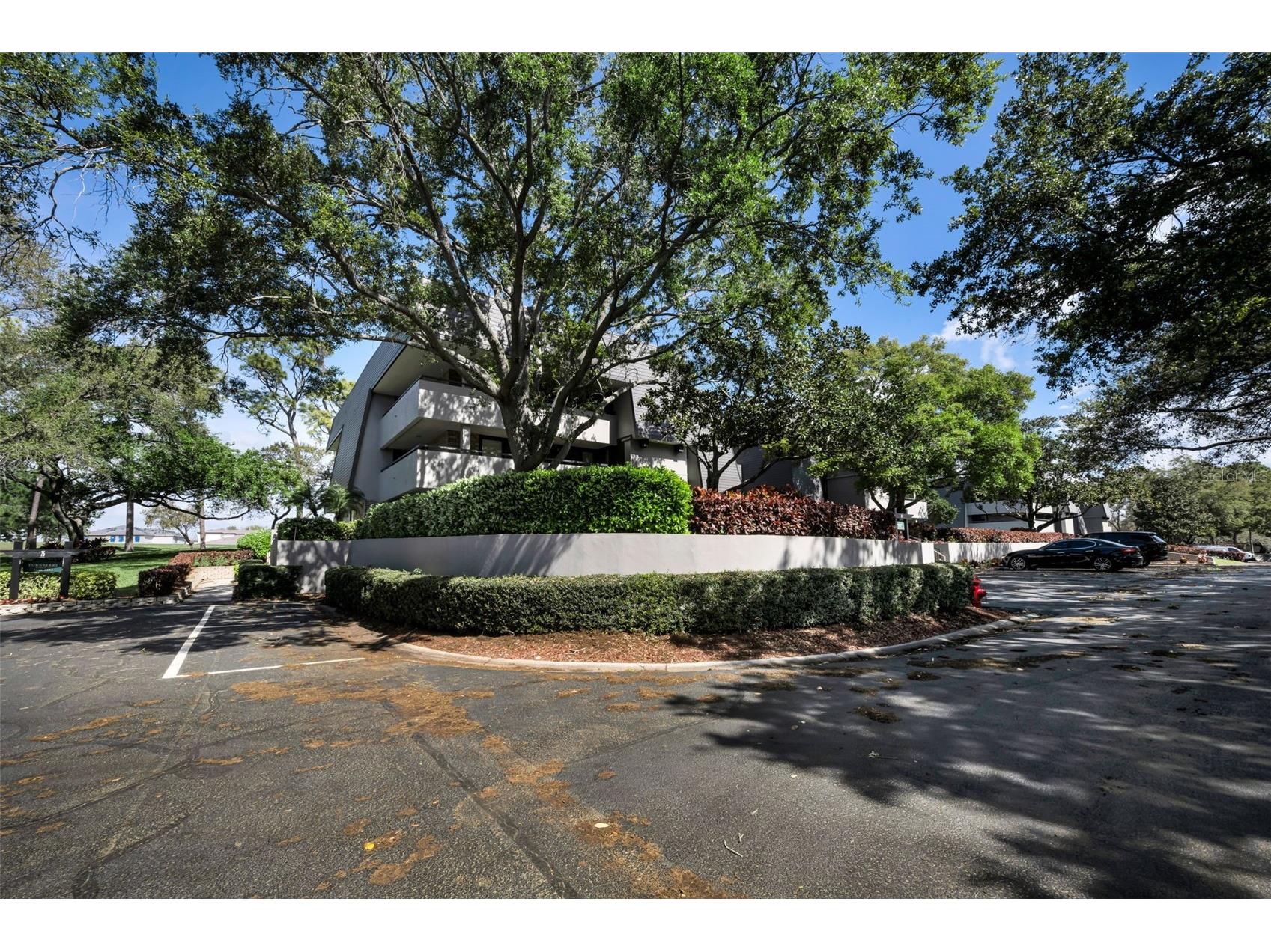 36750 N Us Highway 19 #26-204 Palm Harbor FL 34684 TB8487450 image45