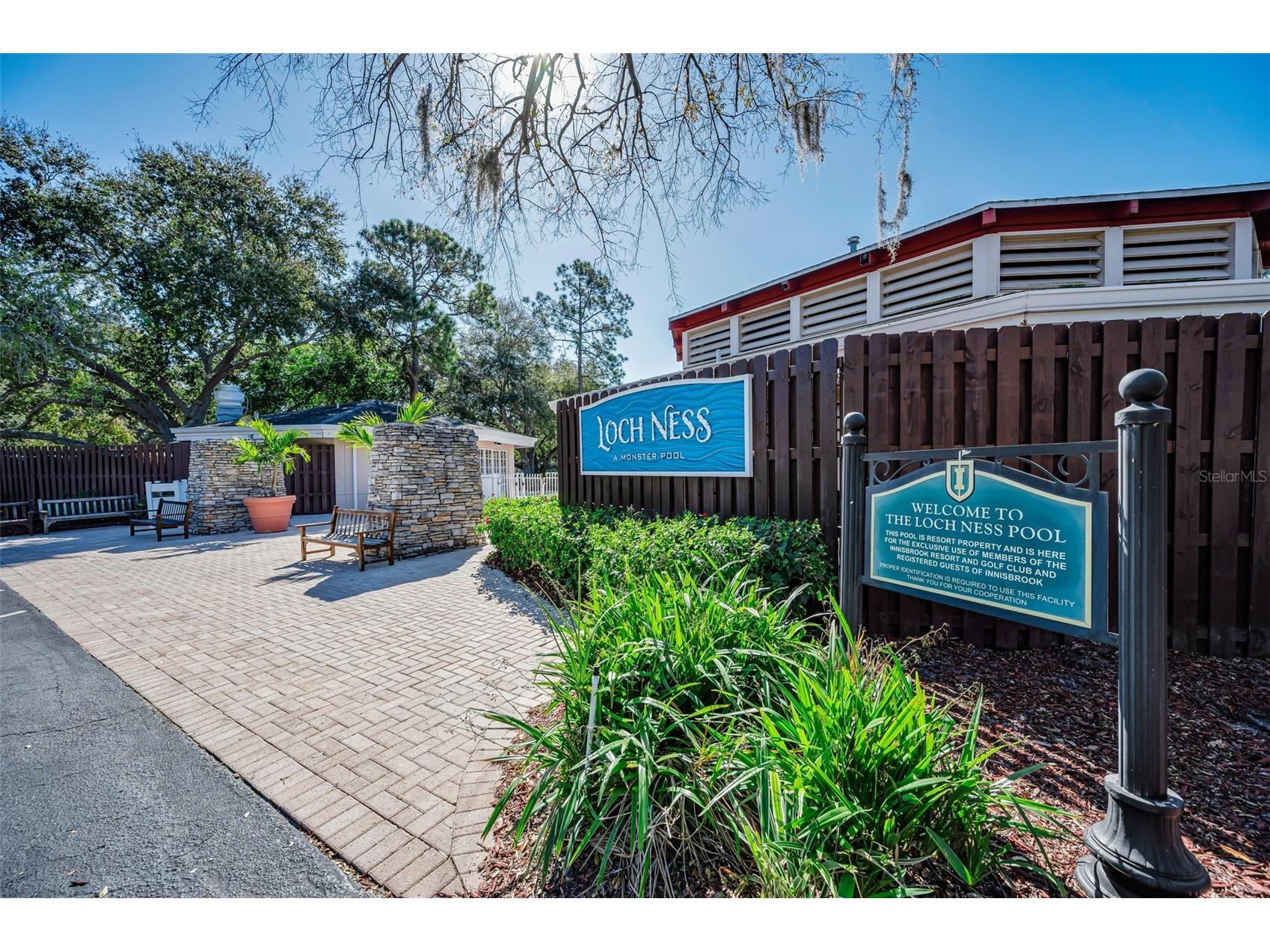36750 N Us Highway 19 #26-204 Palm Harbor FL 34684 TB8487450 image64