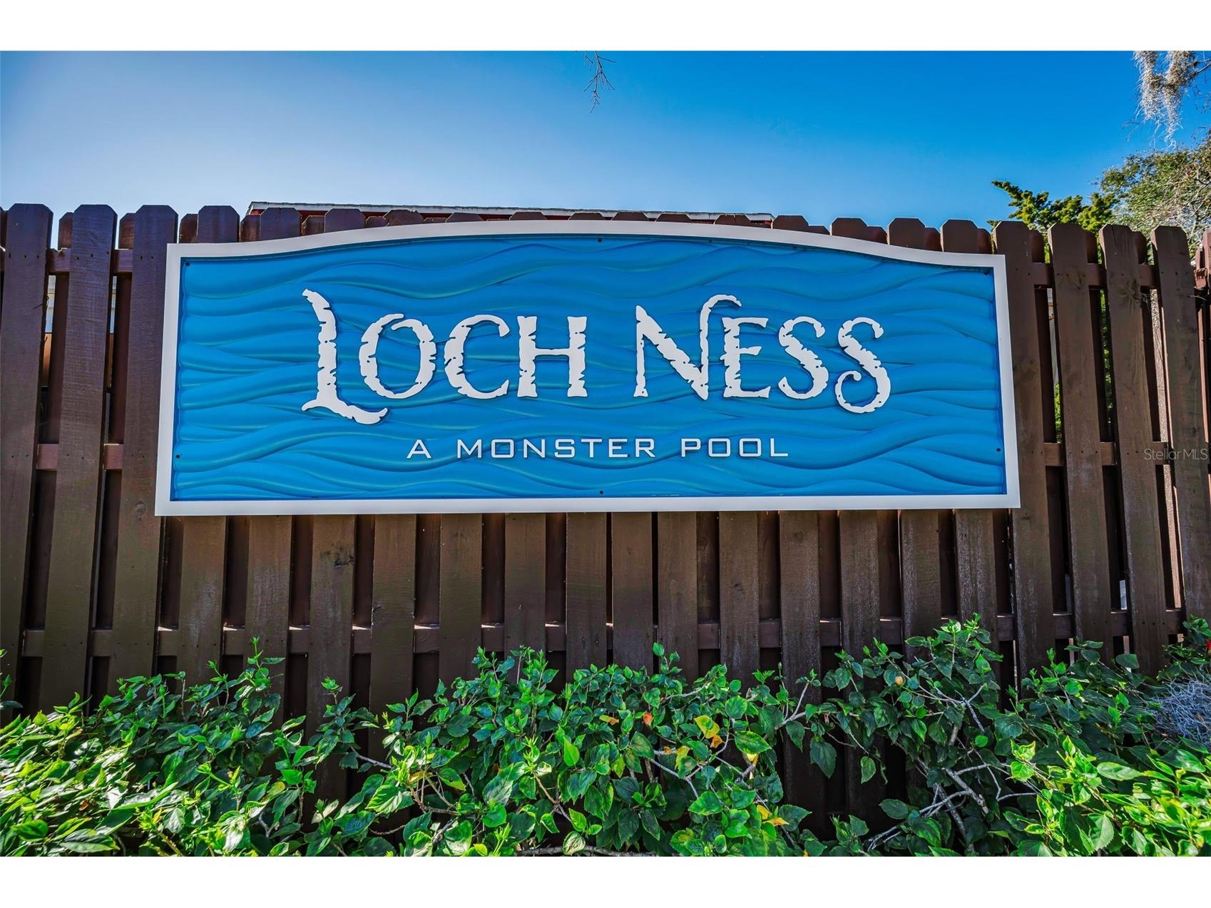 36750 N Us Highway 19 #26-204 Palm Harbor FL 34684 TB8487450 image65