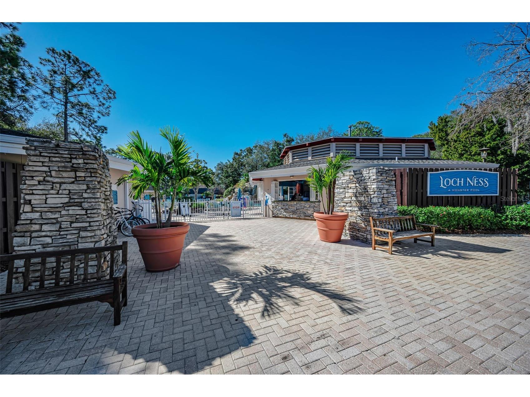 36750 N Us Highway 19 #26-204 Palm Harbor FL 34684 TB8487450 image66
