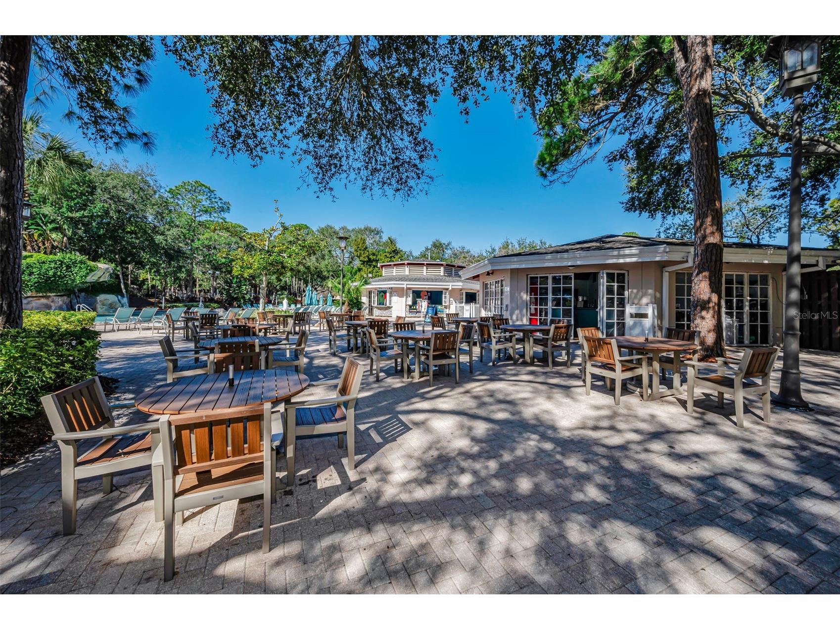 36750 N Us Highway 19 #26-204 Palm Harbor FL 34684 TB8487450 image67