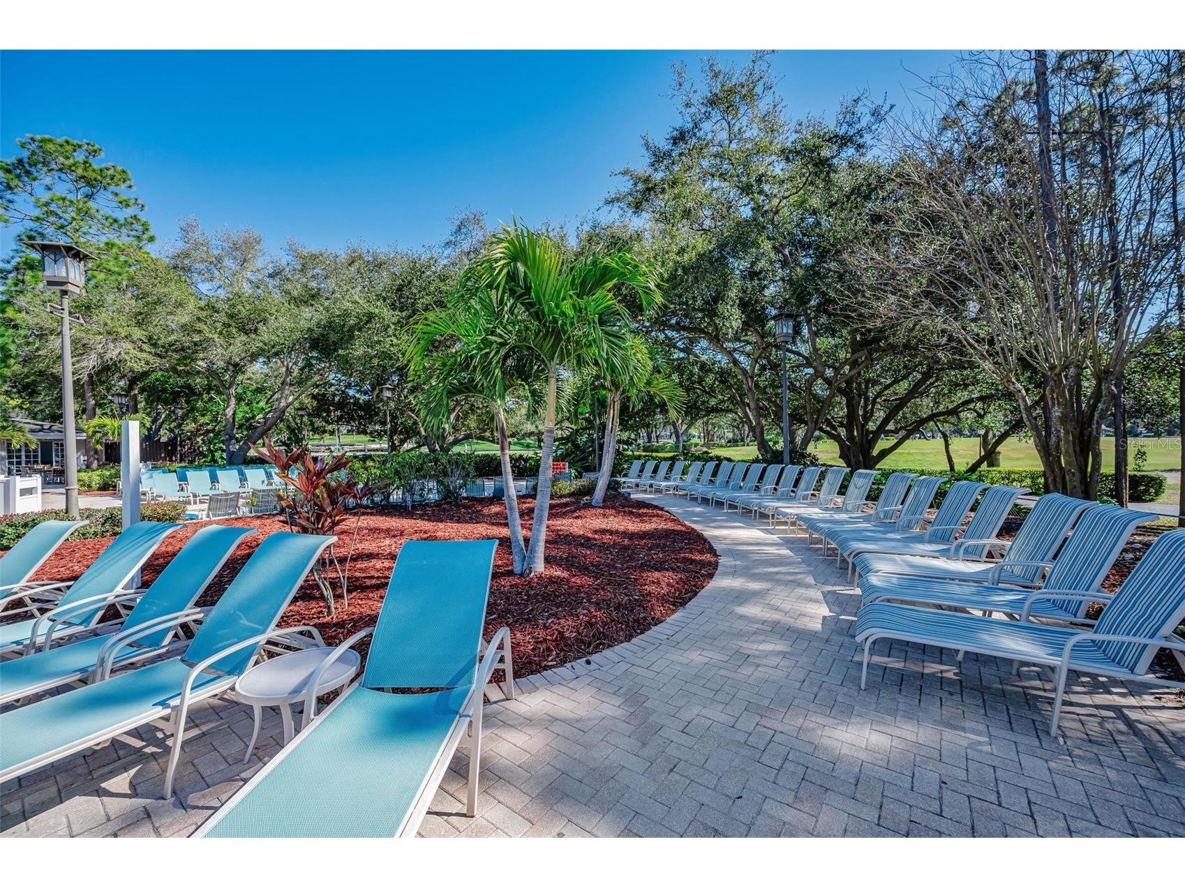 36750 N Us Highway 19 #26-204 Palm Harbor FL 34684 TB8487450 image74