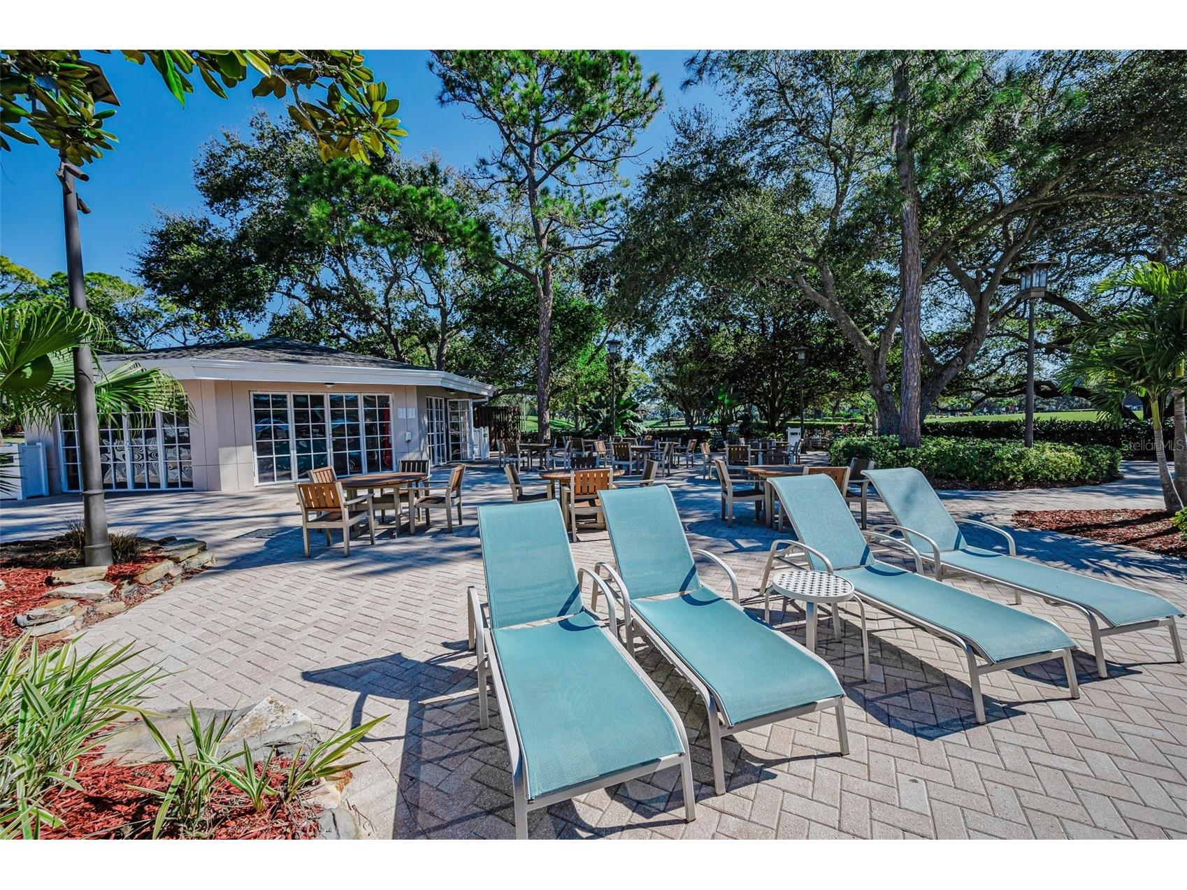 36750 N Us Highway 19 #26-204 Palm Harbor FL 34684 TB8487450 image76