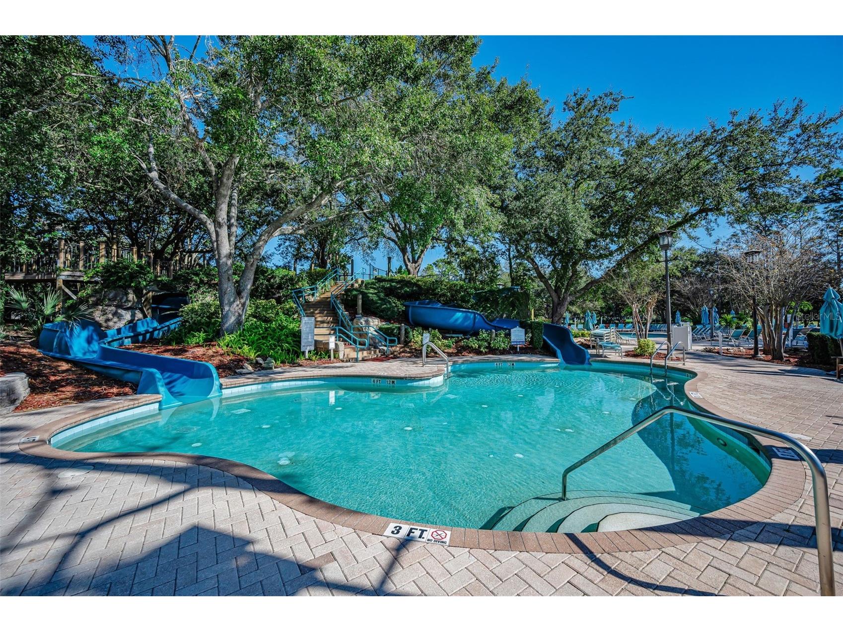 36750 N Us Highway 19 #26-204 Palm Harbor FL 34684 TB8487450 image77