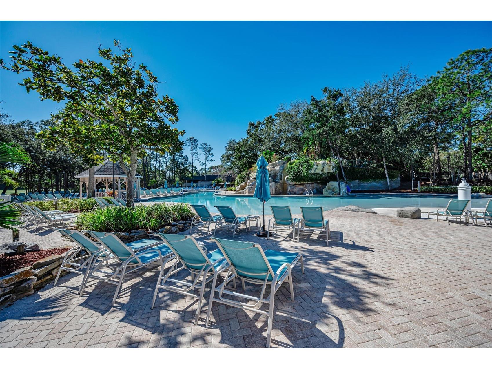 36750 N Us Highway 19 #26-204 Palm Harbor FL 34684 TB8487450 image78