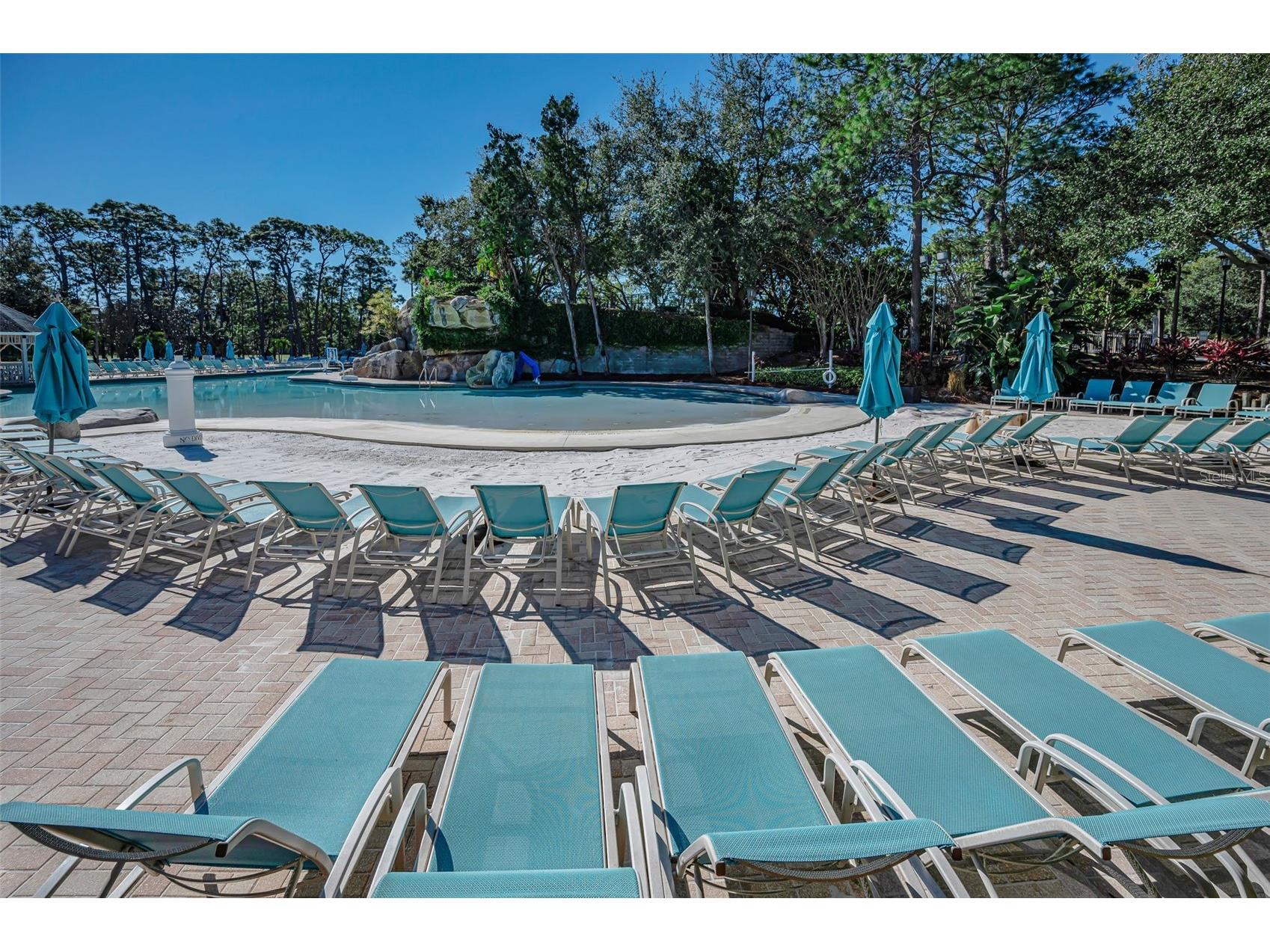 36750 N Us Highway 19 #26-204 Palm Harbor FL 34684 TB8487450 image80