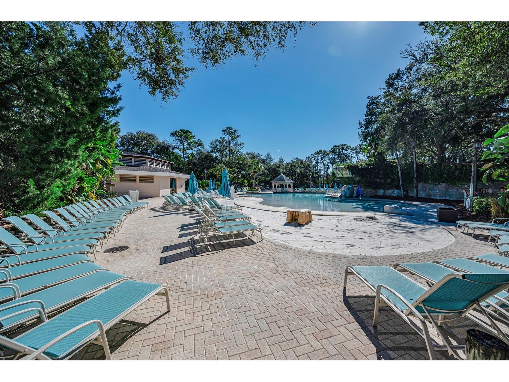 36750 N Us Highway 19 #26-204 Palm Harbor FL 34684 TB8487450 image81