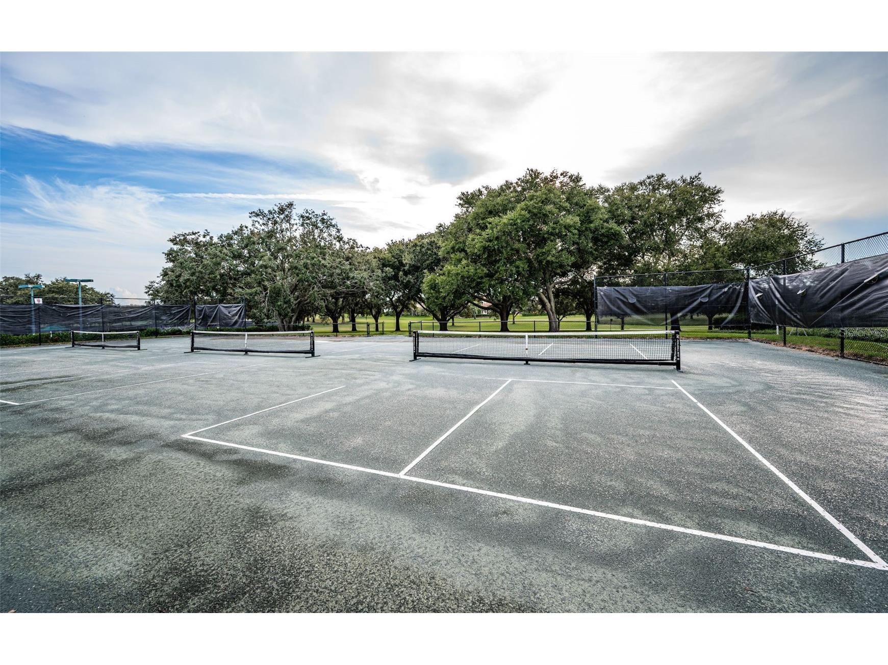 36750 N Us Highway 19 #26-204 Palm Harbor FL 34684 TB8487450 image92