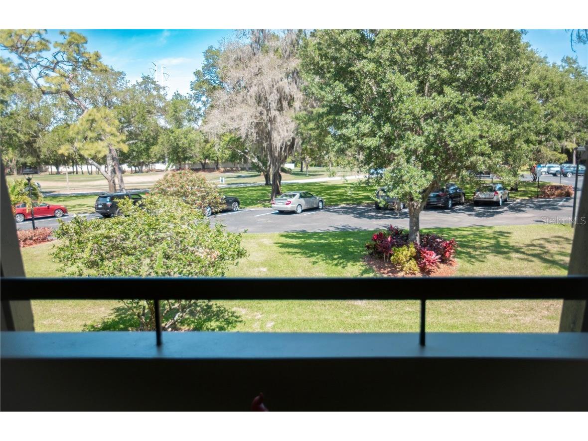 36750 Us 19 #2052 Palm Harbor FL 34684 U8239223 image22