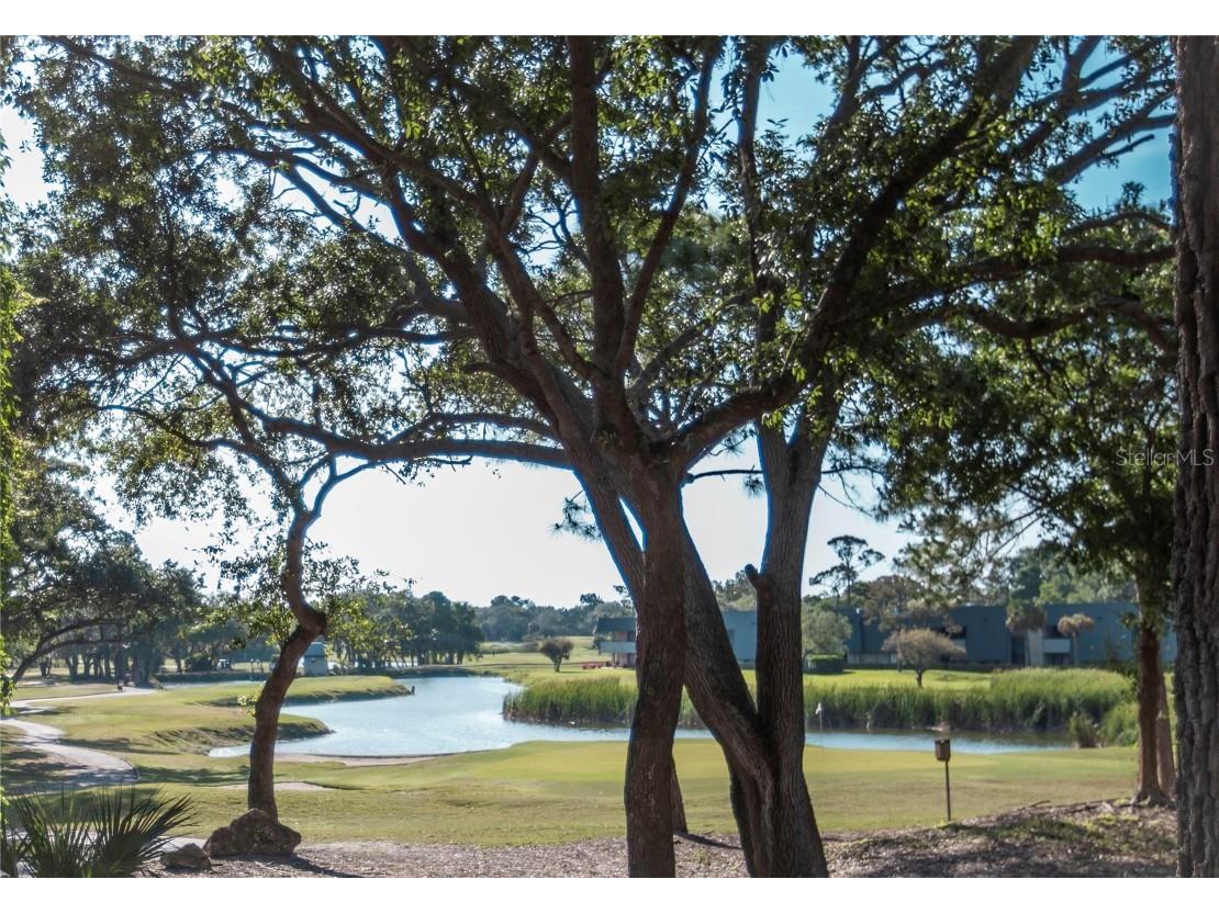 36750 Us 19 #2052 Palm Harbor FL 34684 U8239223 image26