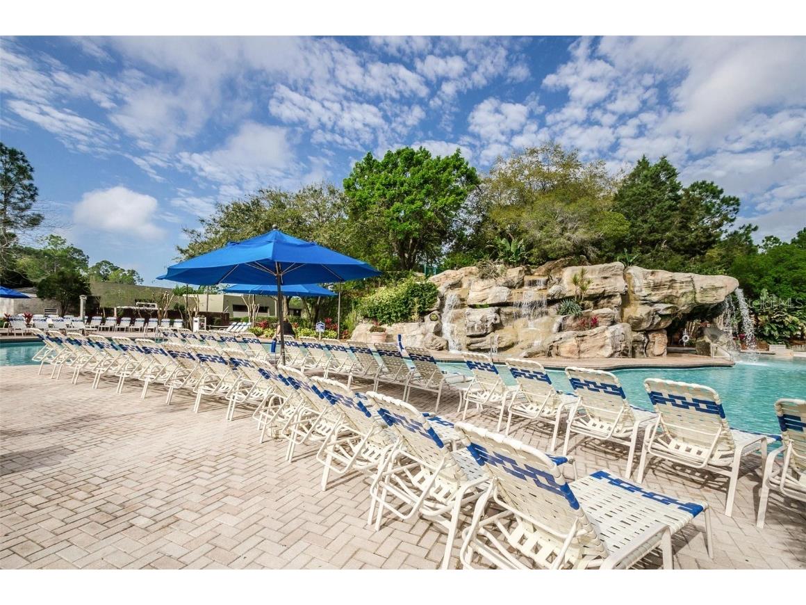 36750 Us 19 #2052 Palm Harbor FL 34684 U8239223 image40