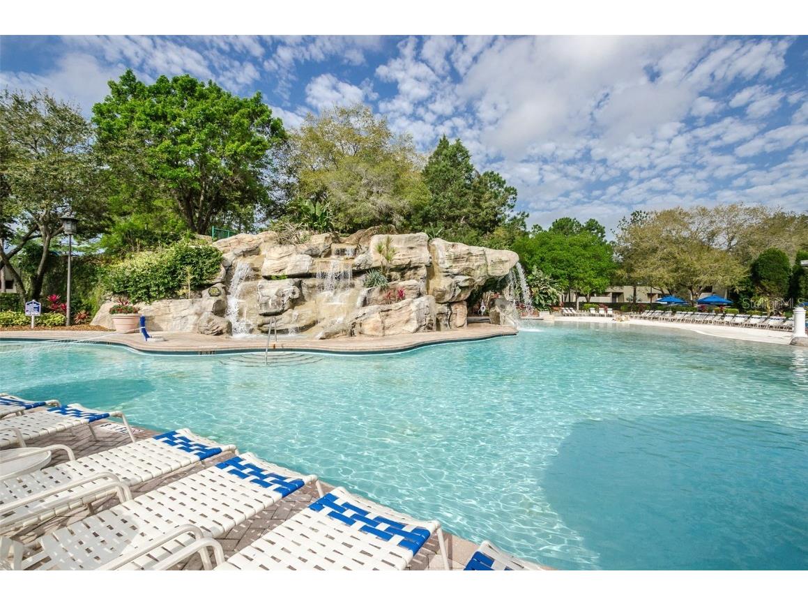 36750 Us 19 #2052 Palm Harbor FL 34684 U8239223 image41