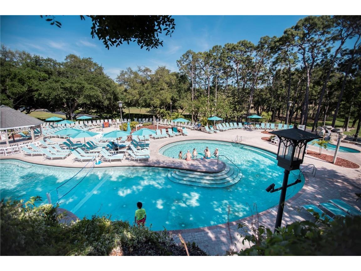 36750 Us 19 #2052 Palm Harbor FL 34684 U8239223 image46