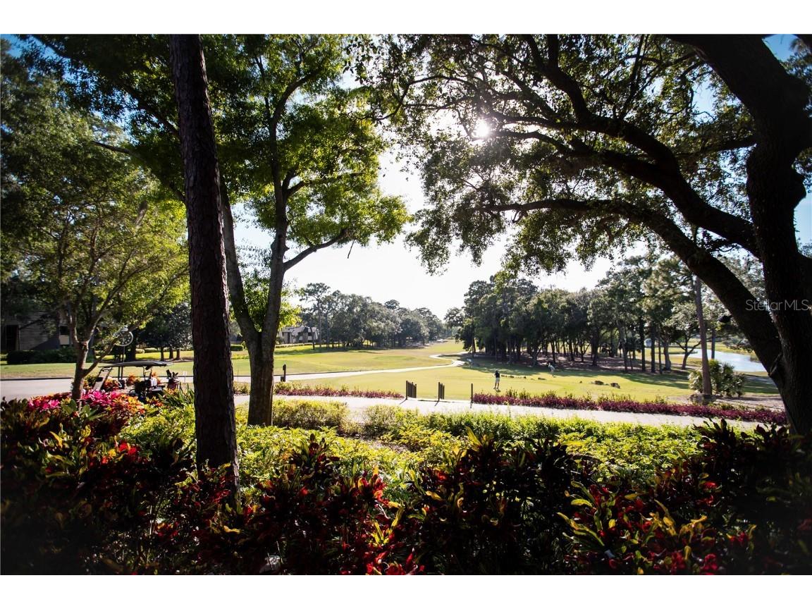 36750 Us 19 #2052 Palm Harbor FL 34684 U8239223 image54