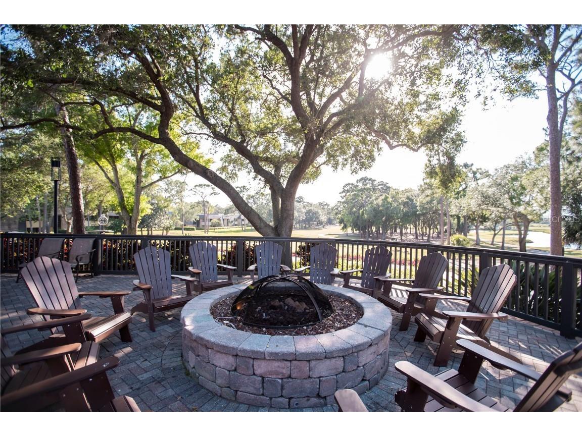 36750 Us 19 #2052 Palm Harbor FL 34684 U8239223 image60