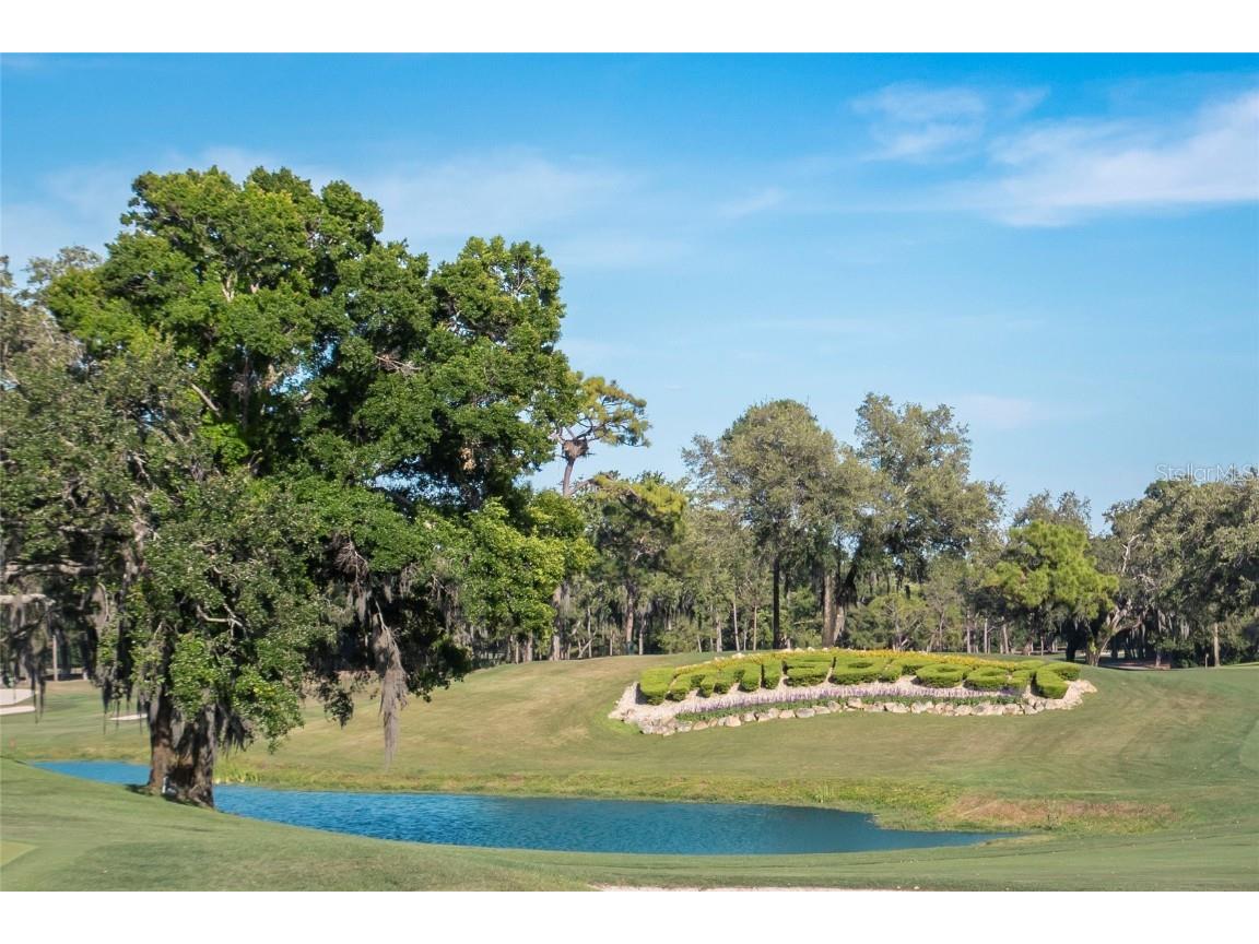 36750 Us 19 #2052 Palm Harbor FL 34684 U8239223 image61